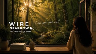 Whispering Path | Peaceful Forest Chill Playlist