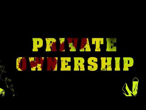 Official Quentin Tarantino NFT Promo Video