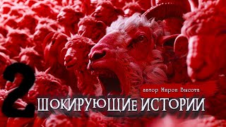 видео: 2 ШОКИРУЮЩИЕ ИСТОРИИ | Страшные истории | Ужасы | Мистика | Мирон Высота картинка: 2 ШОКИРУЮЩИЕ ИСТОРИИ | Страшные истории | Ужасы | Мистика | Мирон Высота