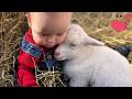 Cutest Babies Playing With Animals Will Melt Your Heart
