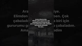 Ama Olmadı Ben Sana Yetemedim Resimi