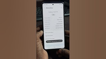 Samsung Galaxy S20 FE OEM Unlocking/ Bootloader Unlock Samsung S20 FE