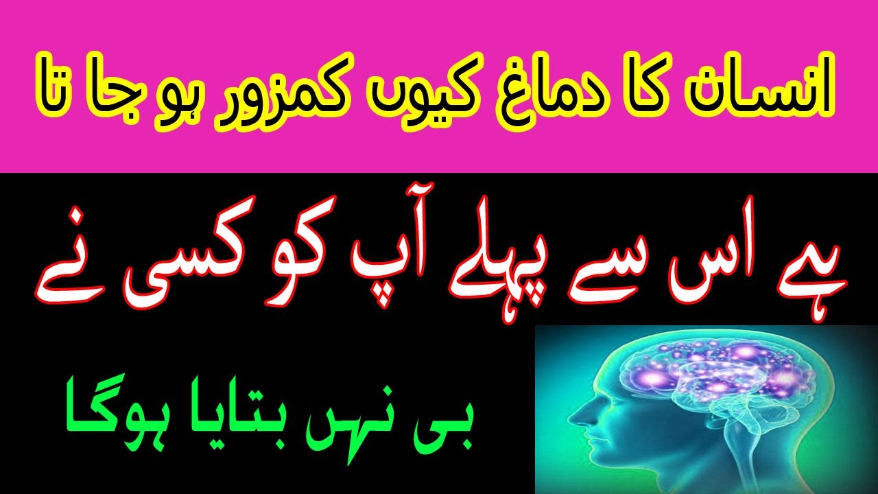 insan ki yaddasht kamjor kyon hoti hai YouTube