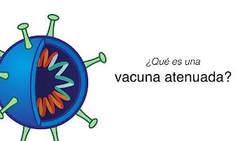 ¿Cuál es la diferencia entre vacuna viva y vacuna viva atenuada?