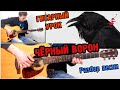 Чёрный Ворон РАЗБОР, АККОРДЫ ♫ Урок игры на гитаре !!!