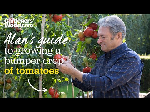 Video: Cucumber Garland F1: sordikirjeldus, viljelusomadused, ülevaated. Millal külvata kurki seemikute jaoks