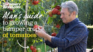 Caring for tomatoes screenshot 4