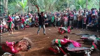 Terheboh Janturan Ebeg Turonggo lestari Mudo#habibiunochannel