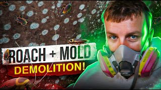 Roach + Mold Demolition!
