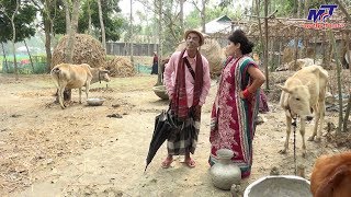 গরুর দালাল | তারছেড়া ভাদাইমা | Ghorur Dalal | Tarchera Vadaima | Bangla Natok 2019