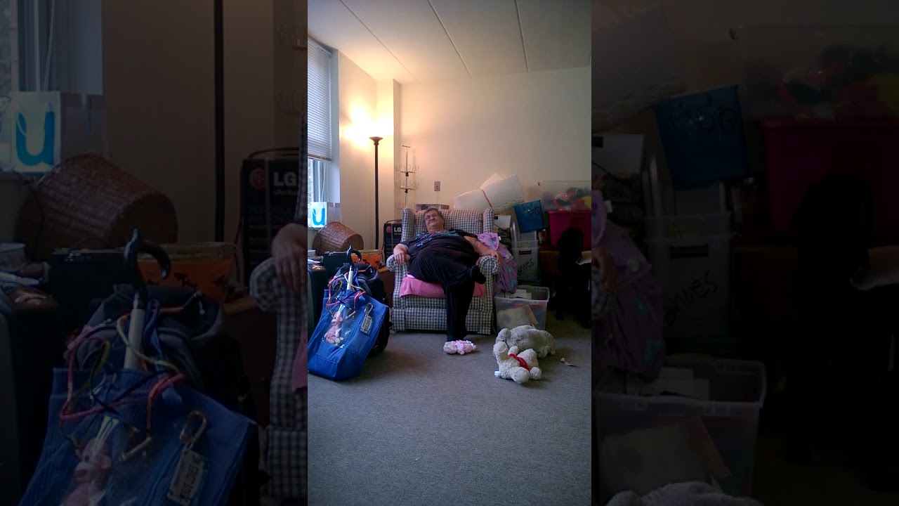 MEET THE FAGIN MOTHER/ELan One School/Steven L Smith