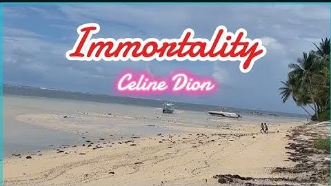 Immortality (Lyrics) Celine Dion
