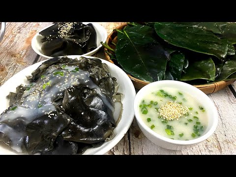 Cách làm bánh lá mơ, lá mít đặc sản Miền tây đơn giản, không cần nắng bánh cực ngon. Cách làm bánh lá mơ, lá mít đặc sản Miền tây đơn giản, không cần nắng bánh cực ngon.