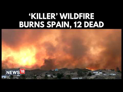 Deadly Spain Wildfire | At Least 12 Dead in Andalusia | Uncontrollable Wildfire Rages On | N18G