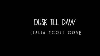 Dusk till dawn - Talia Scott Cover (Lyric Video)