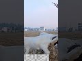 I am really jealous of sheep breeds abroad 28