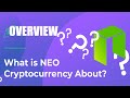Neo Coin Desktop Wallet Overview  How to Use Neo/NEON Coin Explorer  Cryptocurrency