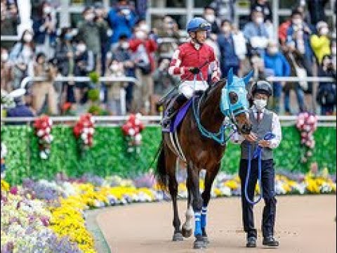 【東京ハイジャンプ想定】JGI・7勝馬オジュウチョウサン、平地障害ダブル重賞Vアサクサゲンキなど10頭|Top News
