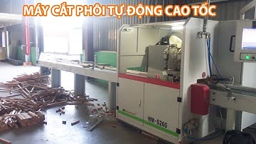 Máy cắt phôi tự động, máy cắt vạch phấn WM-S260 Woodmaster