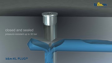 b&m-KL PLUG®