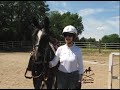 Patricia riding Fantasy, a Morgan horse at Equine Sports 6-6-12 .mov