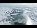 北米五大湖の1つ、エリー湖が凍結　湖面に白い氷原広がる