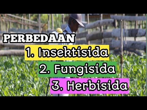 Video: Perbezaan Antara Herbisida Dan Insektisida