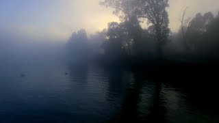 Rebecca Clarke -  I´ll bid my heart be still screenshot 3