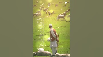 تتجافى جنوبهم عن المضاجع🌹 سورة السجدة🌺 #القرآن_الكريم #quran #اكسبلور #اذكار #الحديث #لايك #تيك_توك