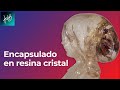 Encapsulado y vaciado en resina cristal - clase gratuita