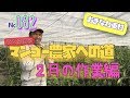 【大公開】マンゴー栽培の秘密に迫る