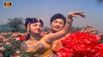 நீ என்னென்ன சொன்னாலும் கவிதை பாடல் | Nee Ennenna sonnalum kavithai song | mgr manjula love song .