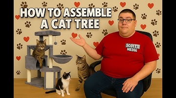 How to Assemble Xin Three Layer Cat Tree from Amazon – Step-by-Step Guide