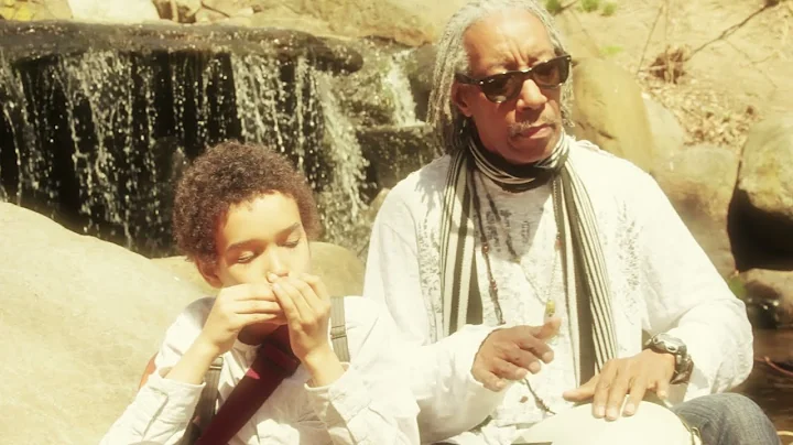 The Times They Are A Changin, Bashiri Johnson feat...