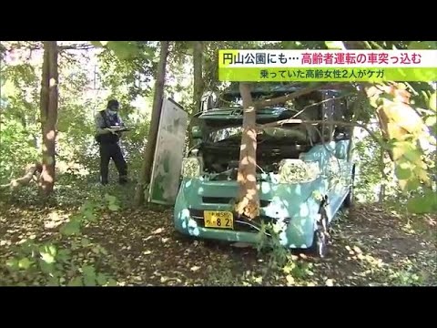 コンビニの物置 “貫通” 小学校校庭に “転落” 公園の林に “突っ込む” 高齢ドライバーの事故相次ぐ (23/08/22 18:20)
