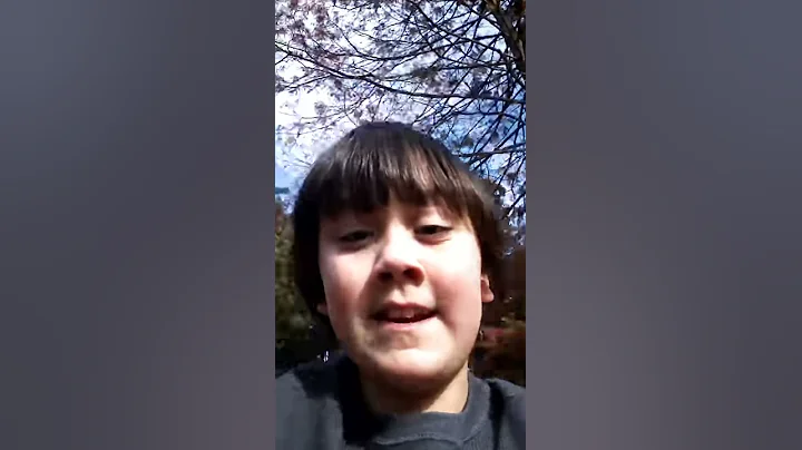 Part 2 of vlog