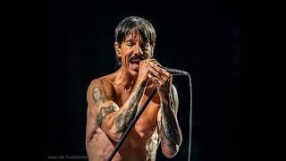 Happy Birthday to ANTHONY KIEDIS