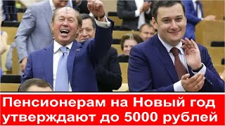 Приятные НОВОСТИ из Госдумы!!! Пенсионерам на Новый год утверждают до 5000 рублей!