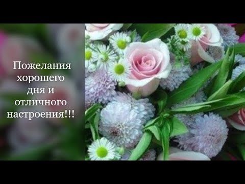 Пожелания Отличного Дня Фото