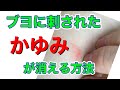 ブヨに刺された時のかゆみが劇的に治まる方法