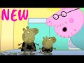 NEW ⭐ Muddy Puddles - Peppa Pig 🐷 Best Funny Moments! ☔ Toon Mania English