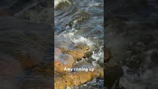 Amy #lake #nature #music #amy #wind #waves