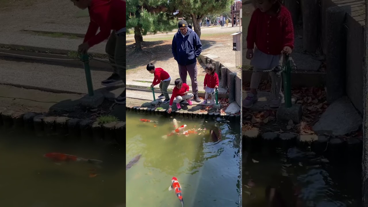 They are not scared of humans 🥰. 