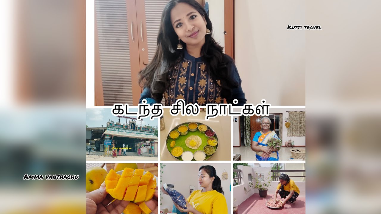 தமிழில் : கடந்த சில நாட்கள்… | Oru Kutti Travel | Amma Vanthachu @GopiKalaiDiaries  #vlog #travel