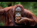 Funny Moments PT7