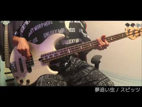 夢追い虫 / スピッツ（ベースカバー）