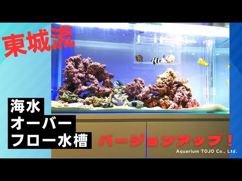 オーバーフロー水槽バージョンアップ！ - YouTube
