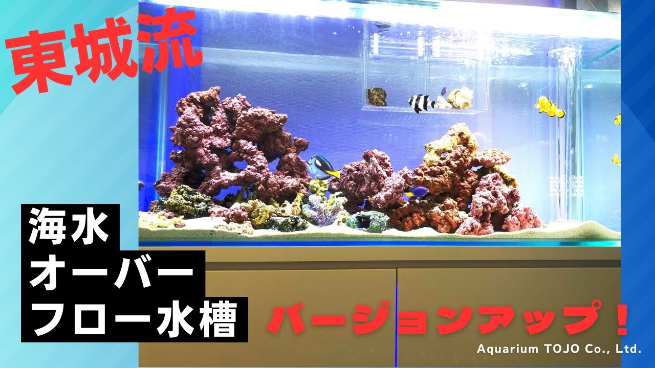 オーバーフロー水槽バージョンアップ！