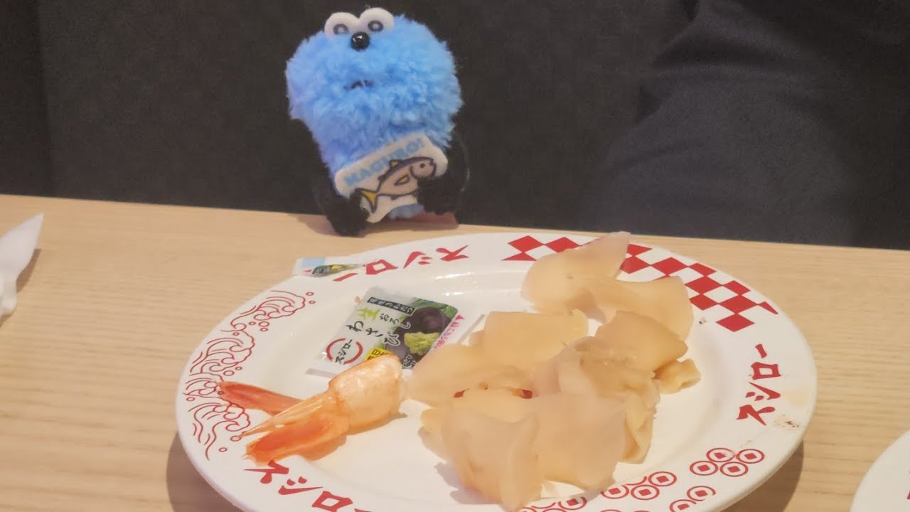 【Vlog】スシロー×パペットスンスン｜新しいバッグをお迎え。