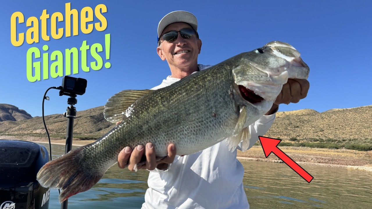 How to Fish a Free Rig for Giant Summer Bass